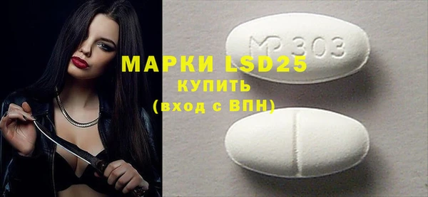 PSILOCYBIN Алзамай