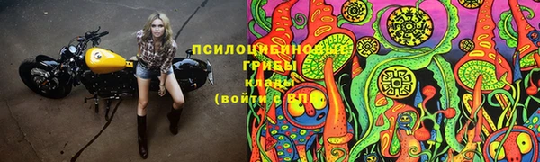 скорость Алексеевка