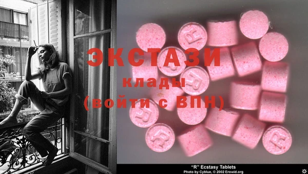 PSILOCYBIN Алзамай