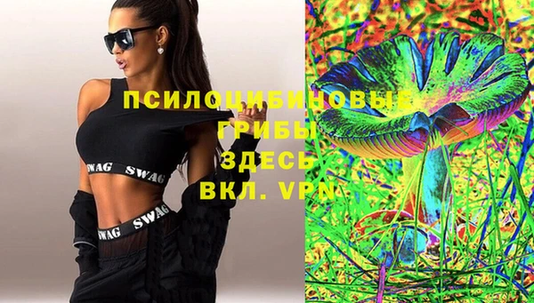 PSILOCYBIN Алзамай